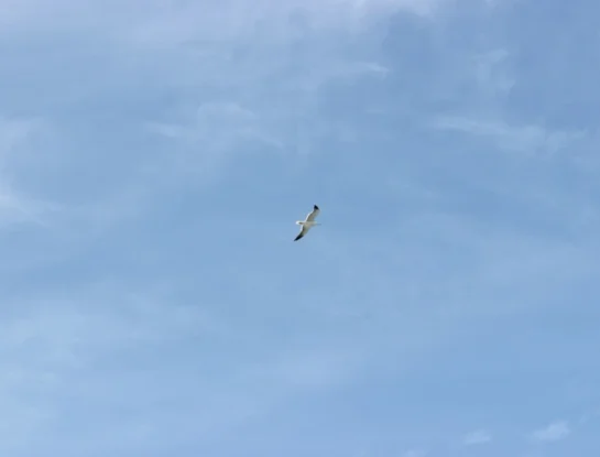 por qué el cielo es azul