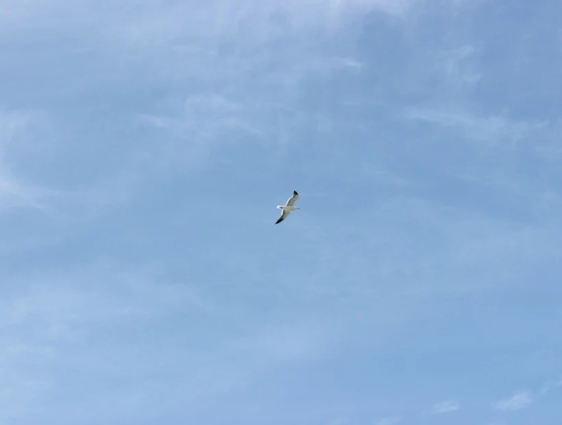 por qué el cielo es azul