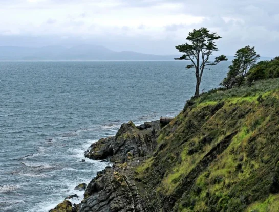 Puerto del Hambre: la historia del primer pueblo que los españoles intentaron crear sobre el estrecho de Magallanes