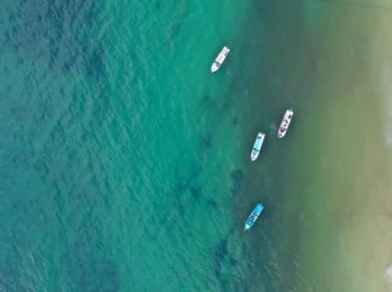 Mar de los Sargazos: por qué existe un mar que no toca ninguna costa