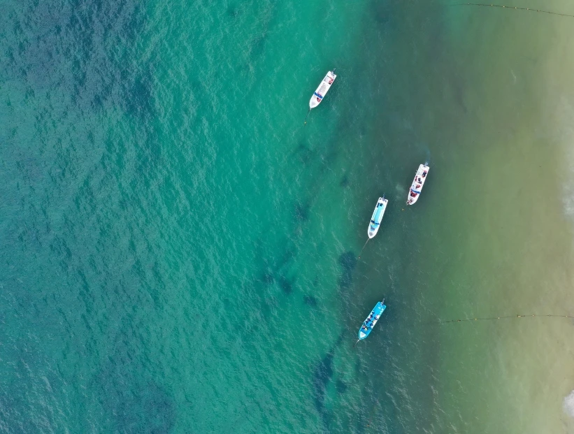 Mar de los Sargazos: por qué existe un mar que no toca ninguna costa