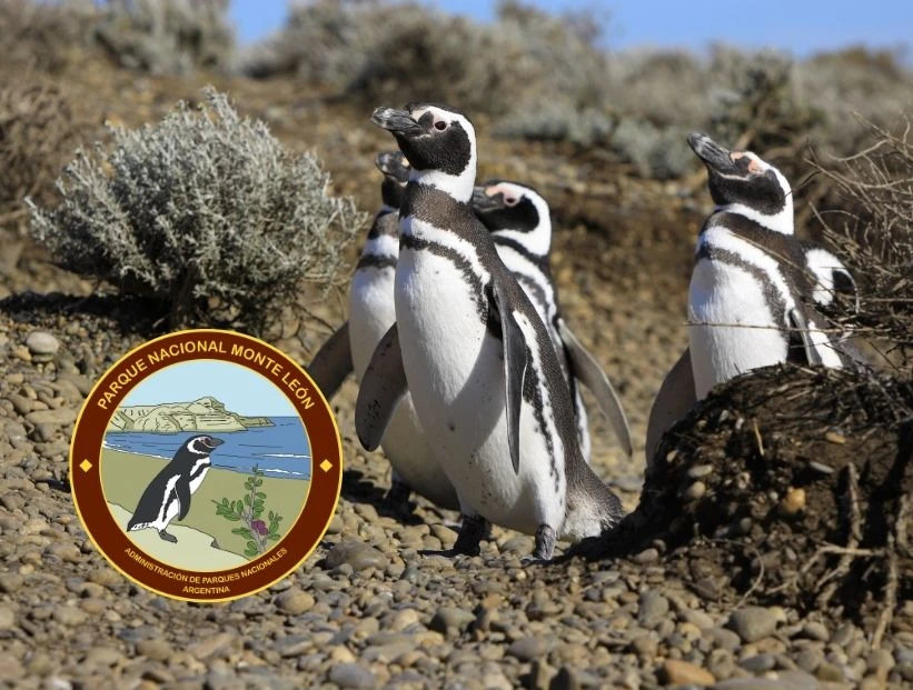 parque-nacional-monte-leon