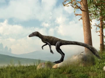 Marasuchus: el reptil que habitó en Sudamérica y fue uno de los antecesores de los dinosaurios