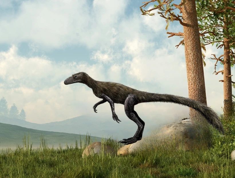 Marasuchus: el reptil que habitó en Sudamérica y fue uno de los antecesores de los dinosaurios