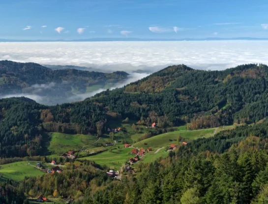 Selva Negra: el paisaje de Alemania que sorprende al mundo