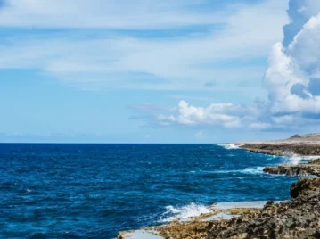 océanos producción de oxígeno