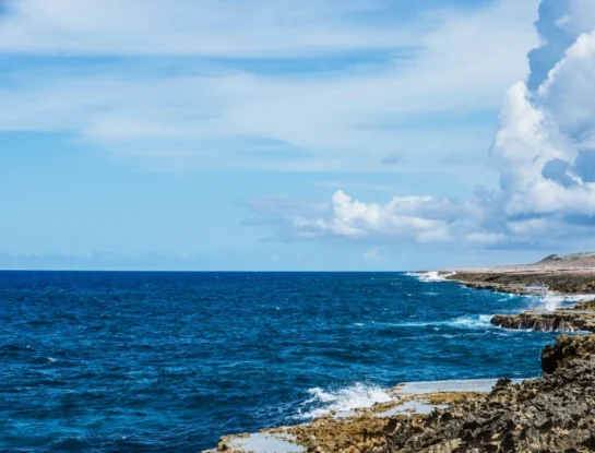 ¿Sabías que los océanos (y no los bosques) son el principal "pulmón" del planeta Tierra?
