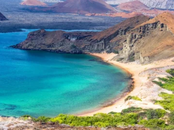 Galápagos: el archipiélago sudamericano que tiene un récord de especies endémicas