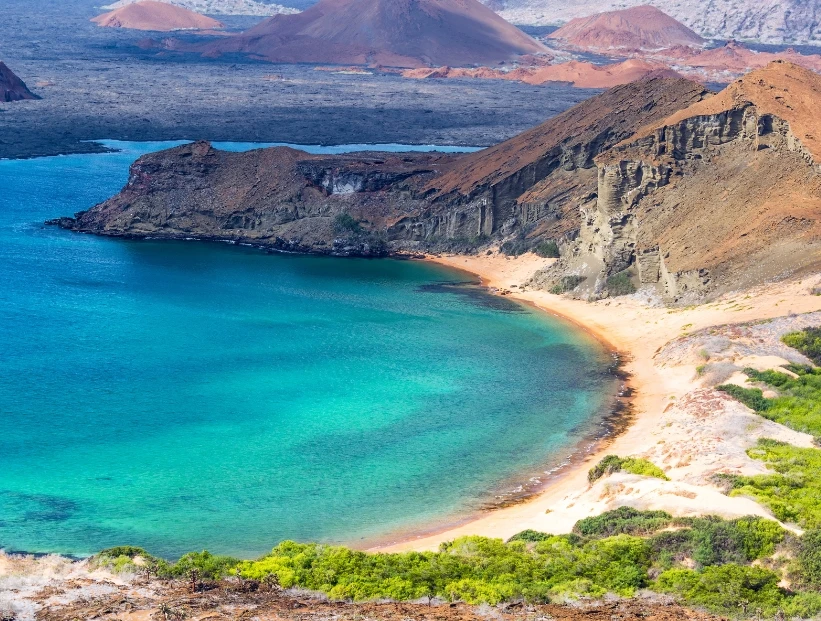 Galápagos: el archipiélago sudamericano que tiene un récord de especies endémicas