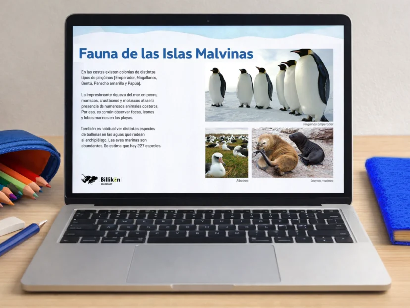 Presentación sobre el relieve, la flora y la fauna de las Islas Malvinas: recurso descargable para primaria