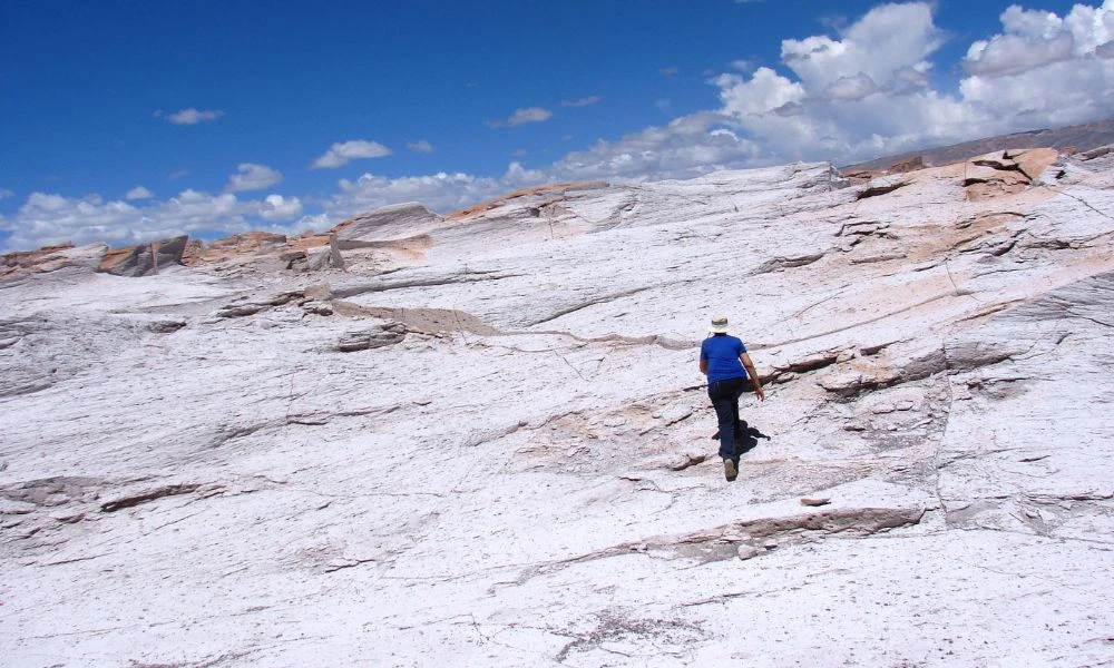 Detalles del paisaje.
