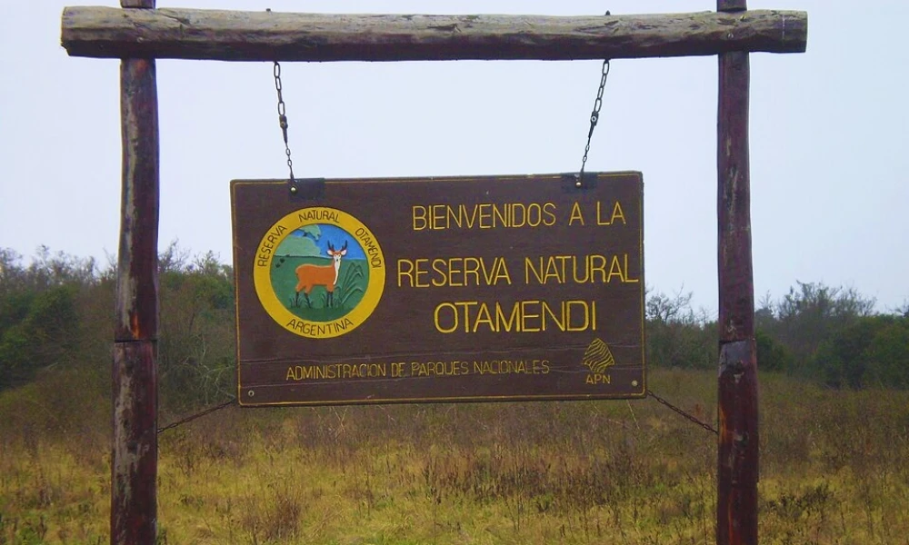 Reserva Natural Otamendi, uno de los humedales más valiosos de Buenos Aires
