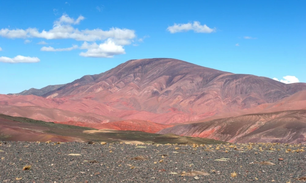 Parque Nacional San Guillermo: el gran refugio de vicuñas y paisajes extremos de San Juan