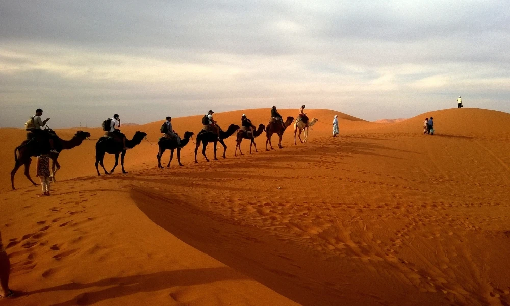 Desierto del Sahara: cómo es el desierto cálido más grande del mundo