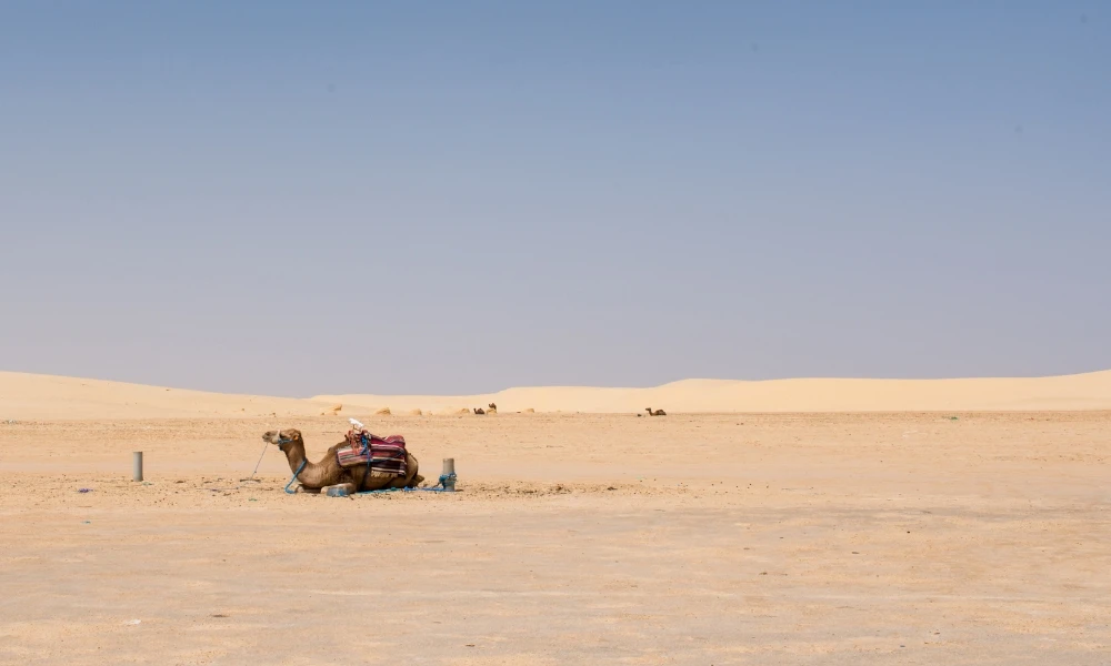 desierto cálido más grande del mundo