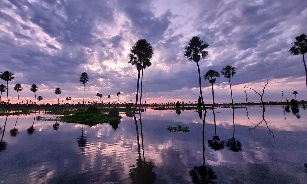 Qué hace tan especial al Bañado La Estrella, el segundo humedal más grande de Argentina y el tercero de Sudamérica