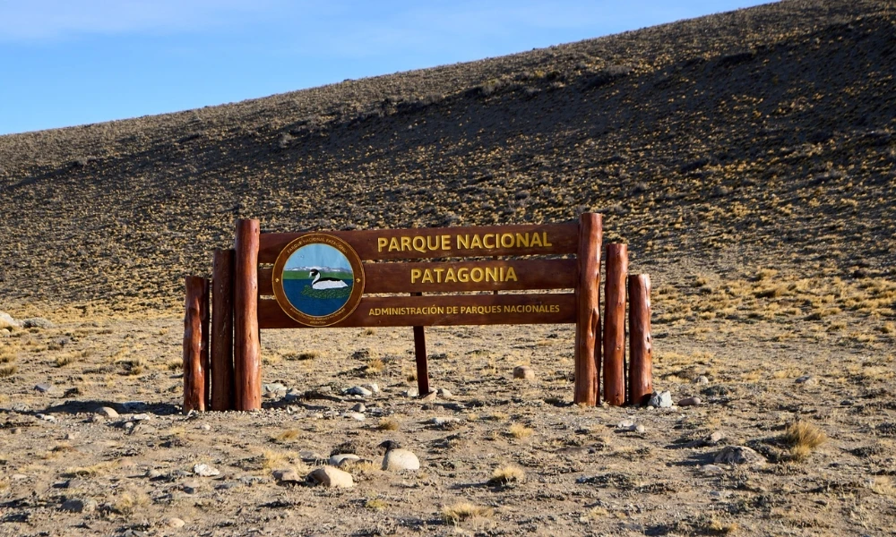 Parque Nacional Patagonia: el área protegida del sur argentino que es el hogar del macá tobiano, la particular ave en peligro de extinción que solo habita allí