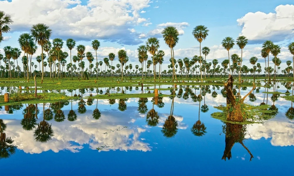 Bañado La Estrella, el segundo humedal más grande de Argentina y el tercero de Sudamérica