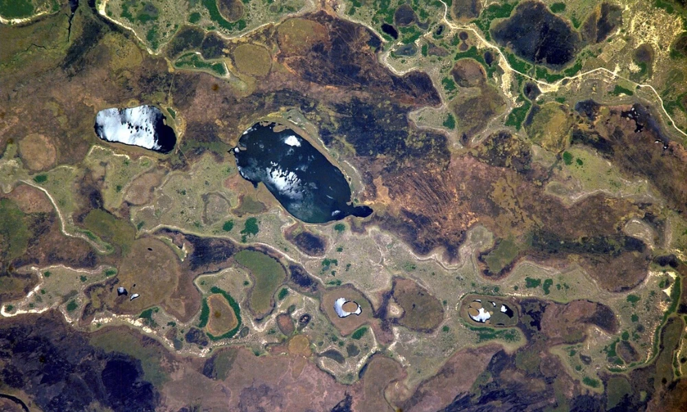 Qué son los humedales, por qué son tan importantes y cuántos hay en Argentina