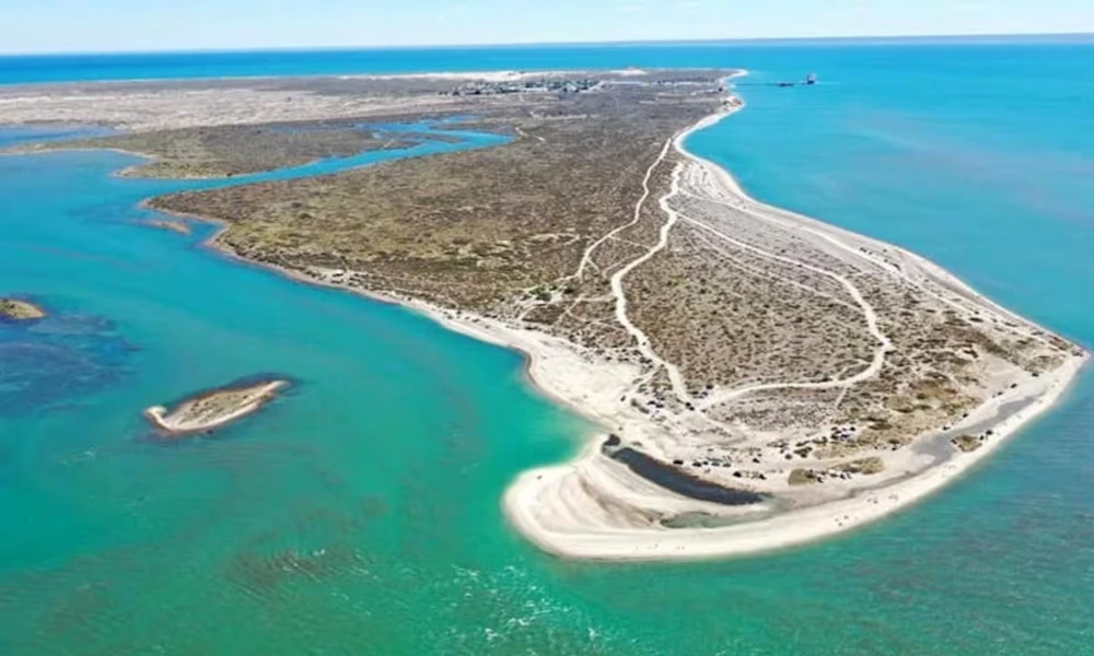 Punta Perdices: la playa caribeña que se esconde en la Patagonia argentina