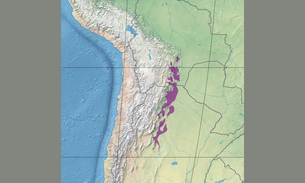 El sector de Argentina donde están las yungas.