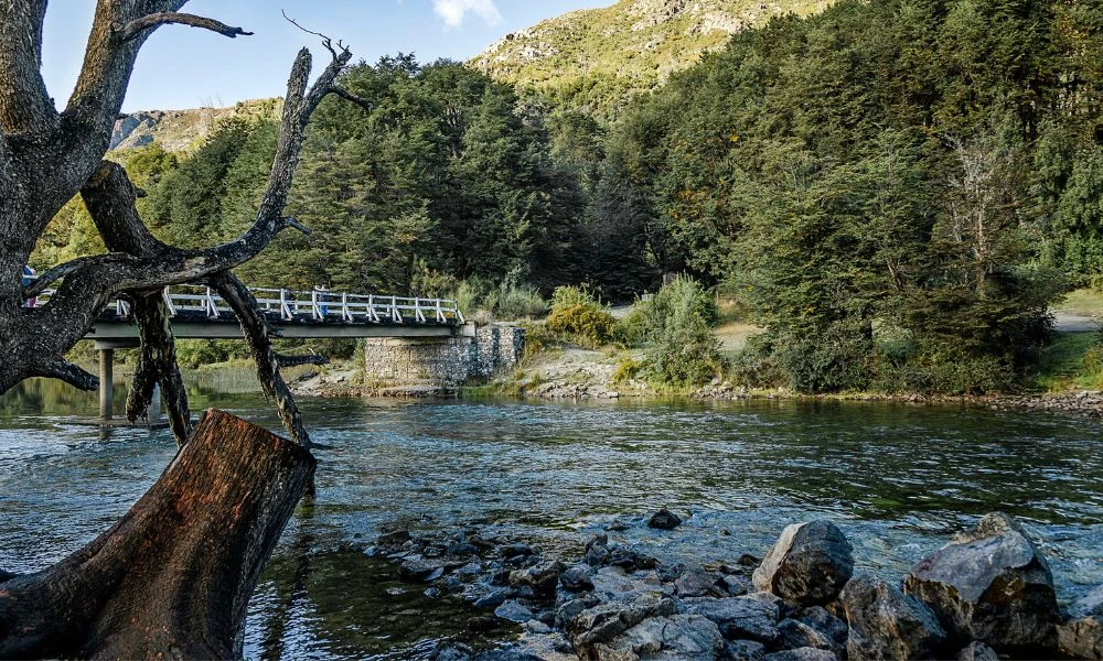 Manso, el llamativo río de la Patagonia que enamora con sus colores ...
