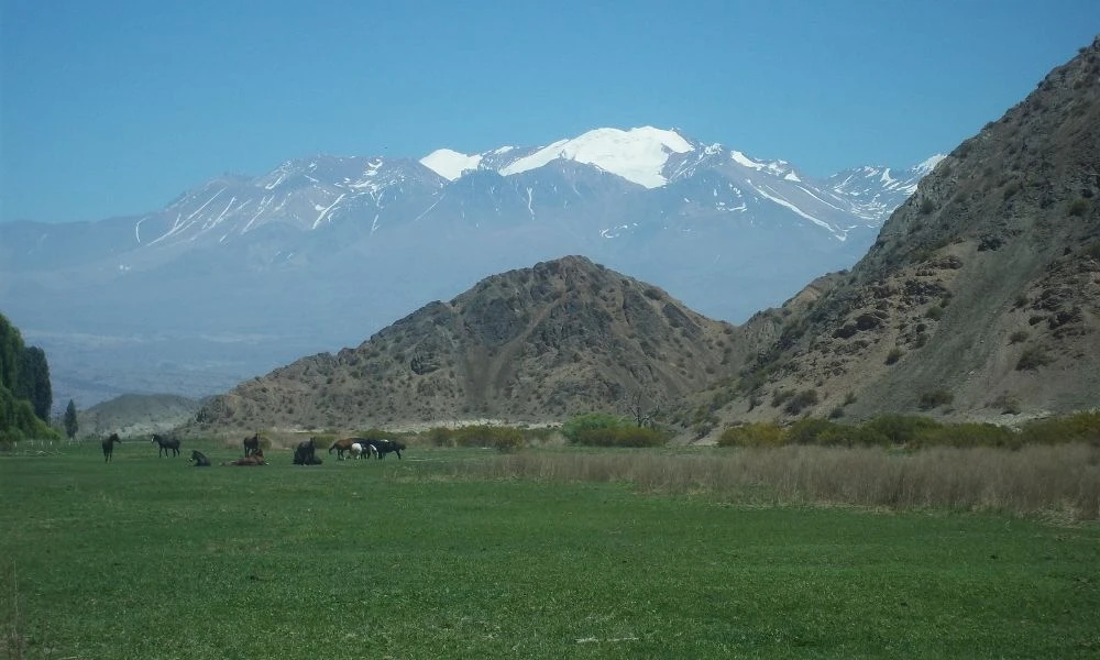 Vistas al Parque Nacional El Leoncito.