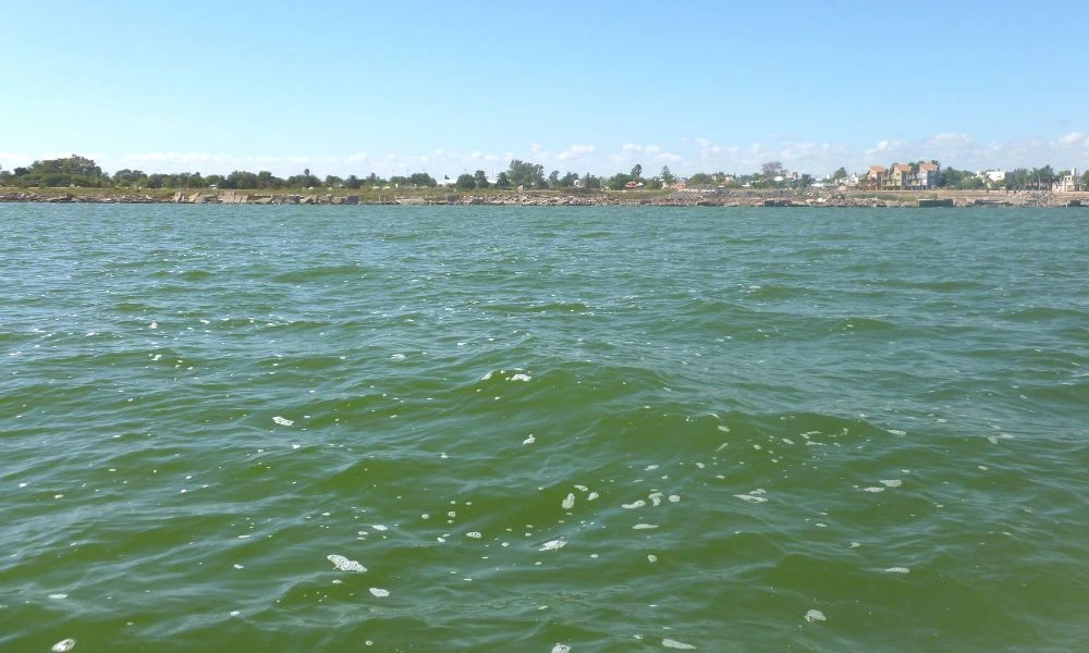 El Parque Nacional Ansenuza y sus paisajes.