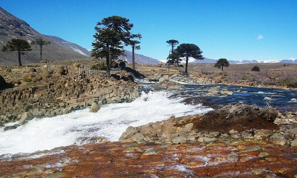 río Agrio Neuquén Argentina