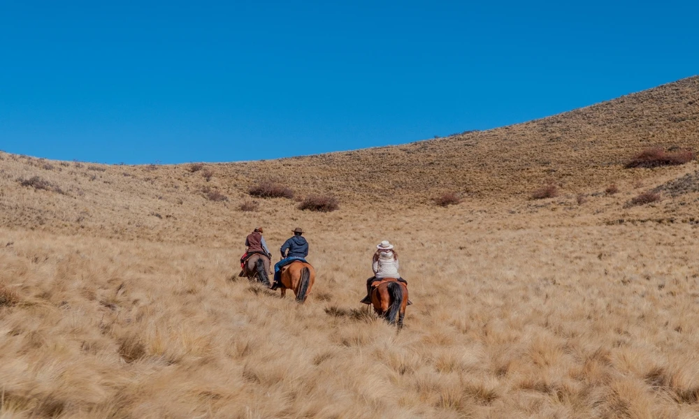 Actividades en Uspallata