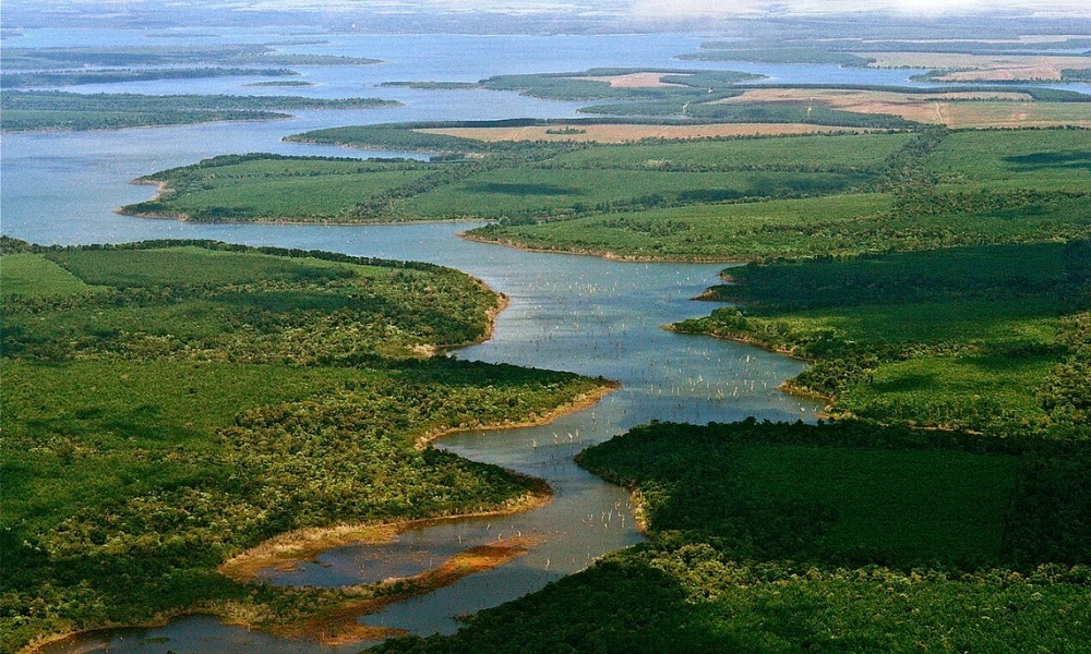 Qué son los humedales, por qué son tan importantes y cuántos hay en Argentina