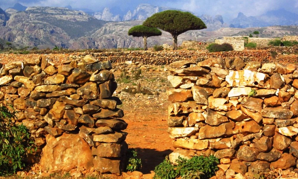 Historia de la isla.