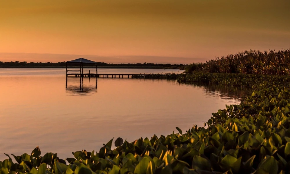 Parque Nacional Río Pilcomayo: por qué es importante para los humedales del Norte Argentino
