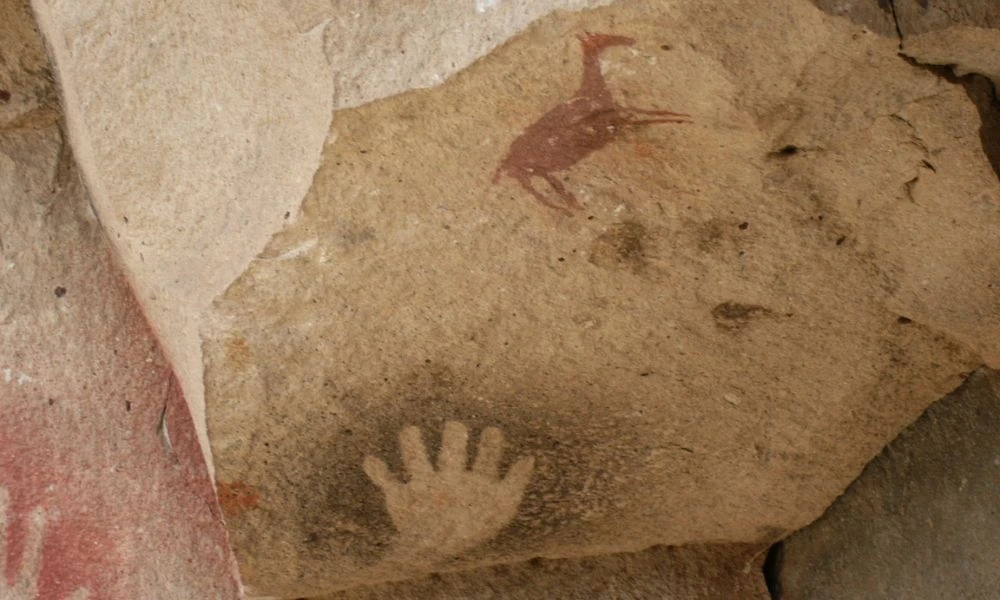 Detalles de las pinturas.