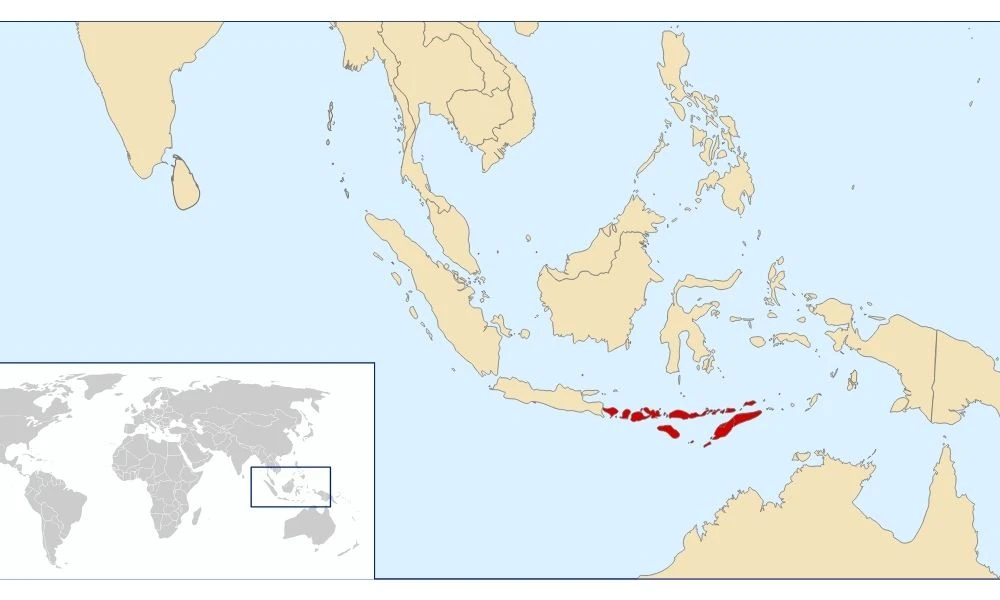 Islas Menores de la Sonda y su ubicación.