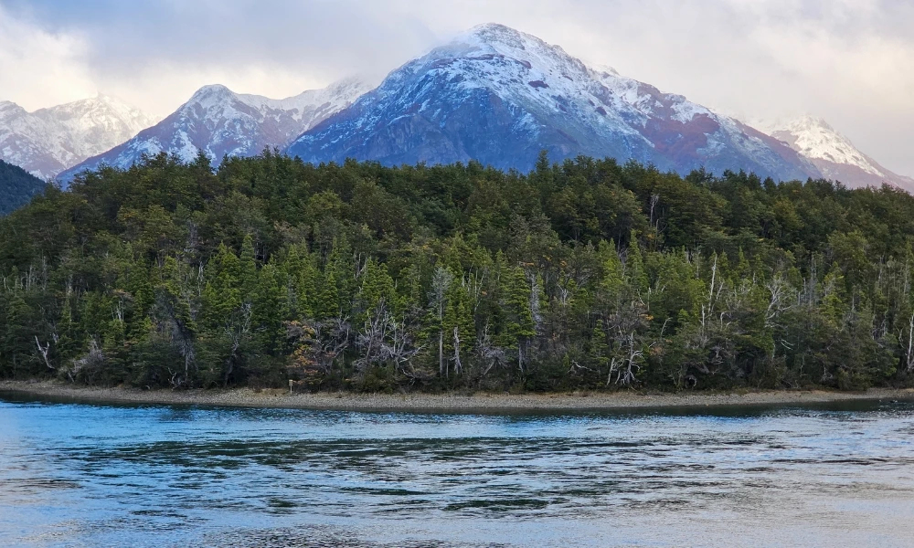 Alerzal Milenario en Chubut: el paisaje donde crecen algunos de los árboles más antiguos de Argentina
