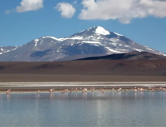 Laguna Brava: ¿cómo visitar este espejo de agua argentino donde conviven flamencos y volcanes?