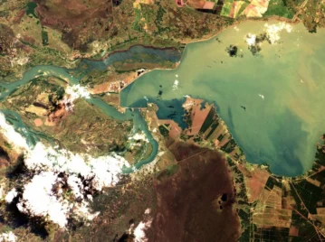 Qué son los humedales, por qué son tan importantes y cuántos hay en Argentina