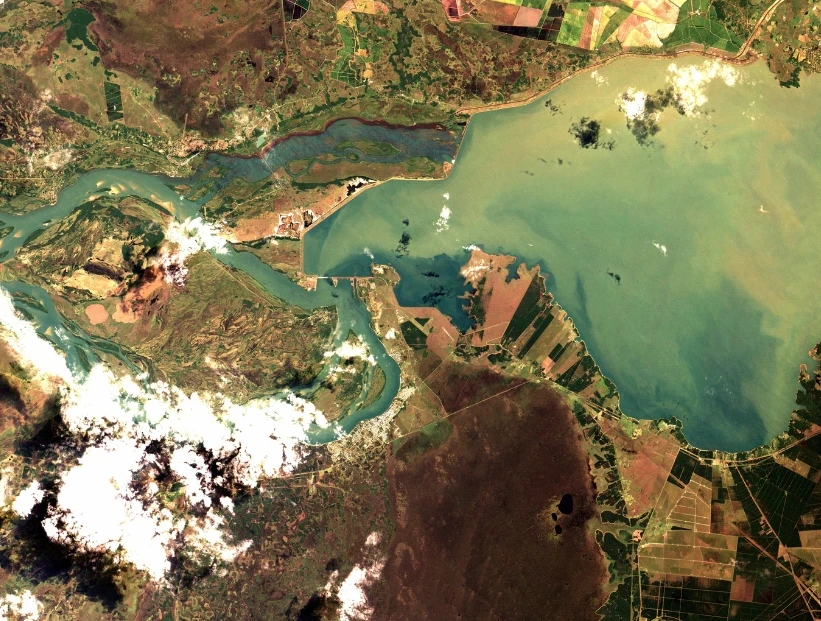 Qué son los humedales, por qué son tan importantes y cuántos hay en Argentina