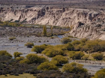 Parque Nacional Patagonia: el área protegida del sur argentino que es el hogar del macá tobiano, la particular ave en peligro de extinción que solo habita allí