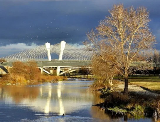 Puente de Príncipe de Viana, el moderno puente de España que sorprende con su diseño y su altura