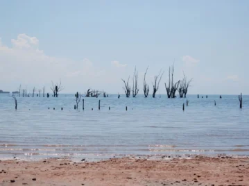 parque-nacional-ansenuza