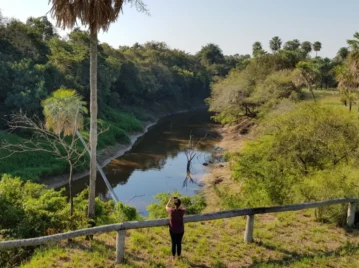 Parque Nacional Río Pilcomayo: por qué es importante para los humedales del Norte Argentino