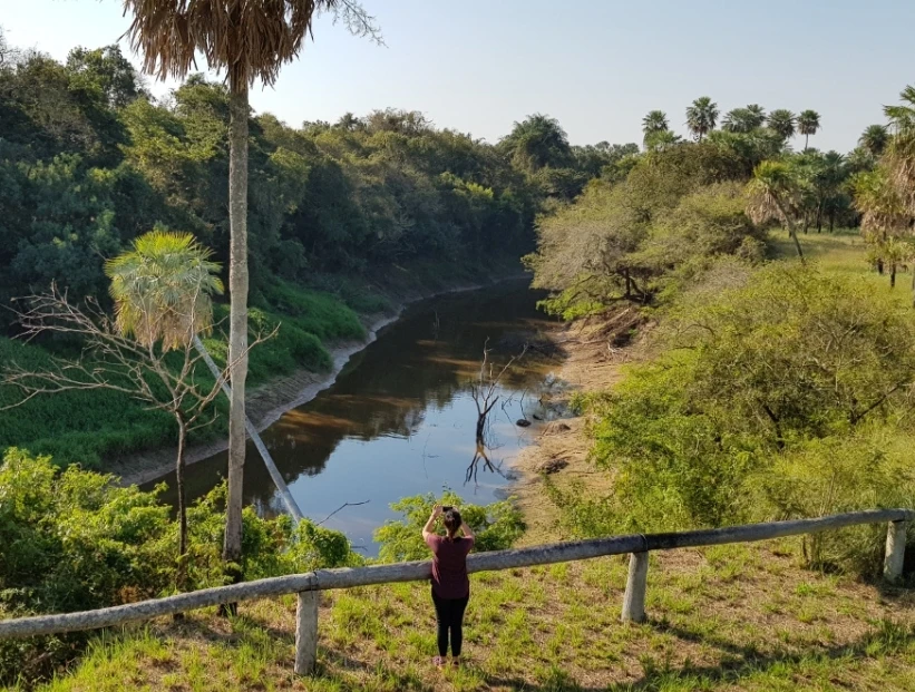 Parque Nacional Río Pilcomayo: por qué es importante para los humedales del Norte Argentino