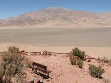 Parque Nacional San Guillermo: el gran refugio de vicuñas y paisajes extremos de San Juan