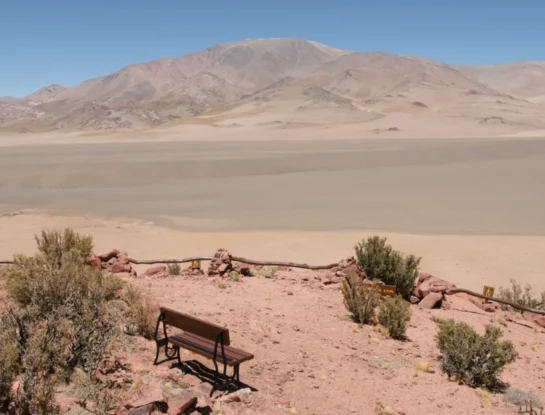 Parque Nacional San Guillermo: el gran refugio de vicuñas y paisajes extremos de San Juan