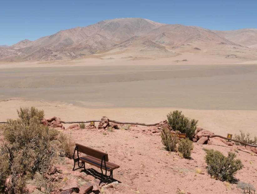 Parque Nacional San Guillermo: el gran refugio de vicuñas y paisajes extremos de San Juan