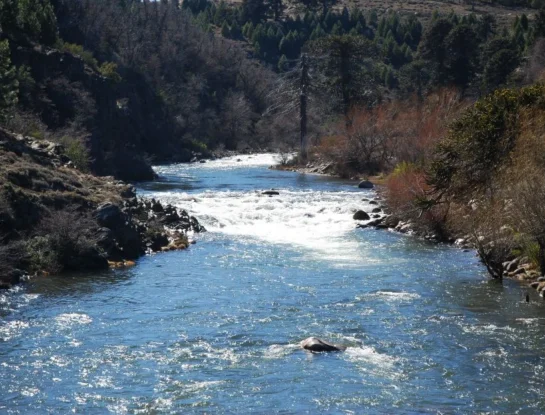 Litrán, el pequeño río de la Patagonia que sorprende con su belleza y tranquilidad