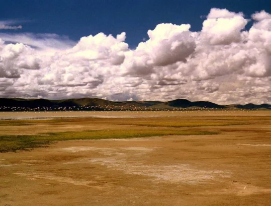 Laguna de los Pozuelos: ¿en qué provincia está y por qué es uno de los humedales más valiosos del país?