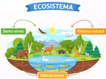 Qué es un ecosistema: definición, tipos y ejemplos fáciles de entender